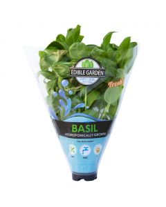 Fresh Basil /Bunch