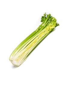Celery 1/2