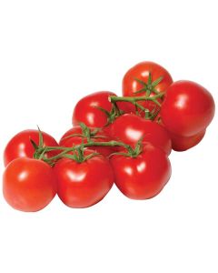 Tomatoes Truss /kg